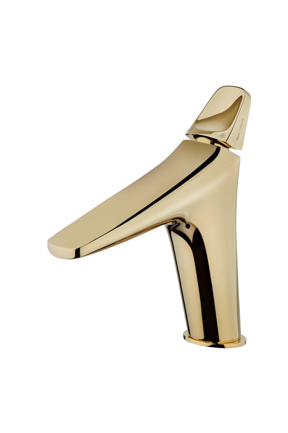 Maišytuvas praustuvui TEKA SEN 100 L G